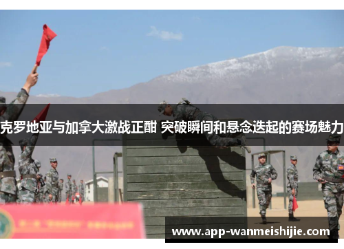 克罗地亚与加拿大激战正酣 突破瞬间和悬念迭起的赛场魅力