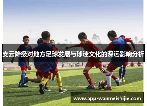 支云降级对地方足球发展与球迷文化的深远影响分析