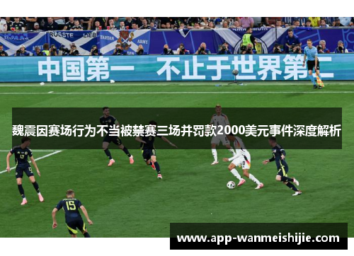 魏震因赛场行为不当被禁赛三场并罚款2000美元事件深度解析